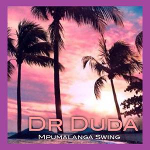 Mpumalanga swing