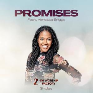Promises (Long Lasting) (feat. Vanessa Briggs)