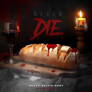 Never Die (feat. Big Pun) (Radio Edit)