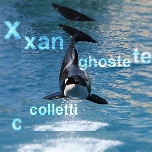 Shamoo (Explicit)