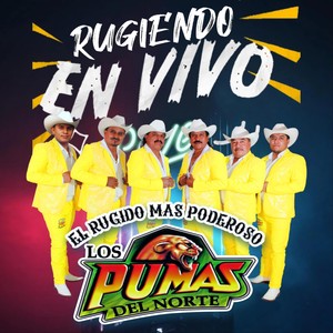 Huapangos Con Acordeon (En Vivo)