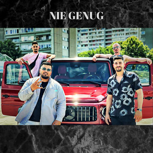 Nie genug (Explicit)