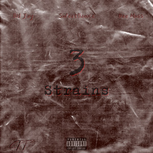 3 Strains (Explicit)