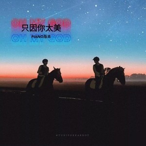 只因你太美 (钢琴版)