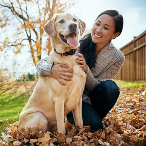 Pet's Waterfall Harmony: A Chill Sound for Relaxation and Bonding