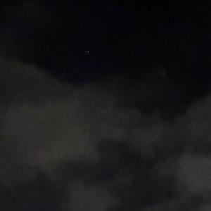 virus ii (feat. yungcray) (Explicit)