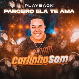 Ela Não Te Ama (Playback)