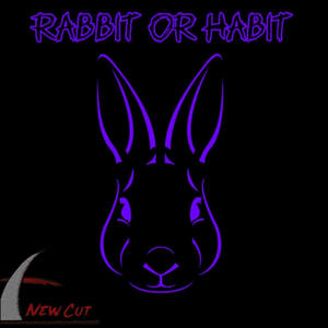 Rabbit or Habit (feat. Spencer Jones) (Explicit)