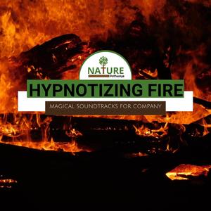 Hypnotizing Fire - Magical Soundtracks for Company