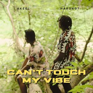 Can't Touch My Vibe (feat. Hardk07) [Explicit]