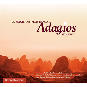 Concerto Per Archi - III. Aria. Andante Quasi Adagio