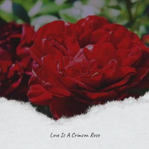 Love Is A Crimson Rose