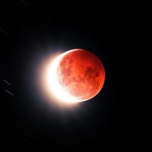 Really Him (Explicit)