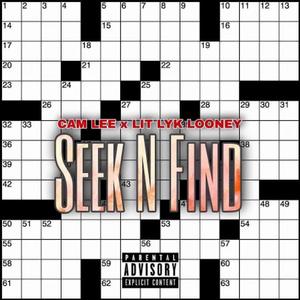 Seek n Find (feat. Lit Lyk Looney)