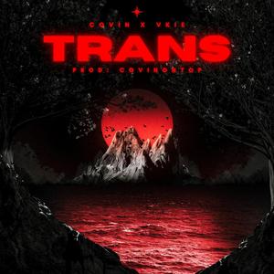 TRANS (feat. Vkie & Covin) (Explicit)