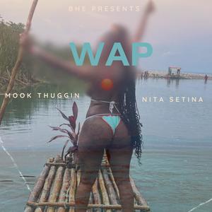 WAP (feat. Nita Setina) (Remix)