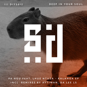Ndiyahamba (Da Lee LS Remix)