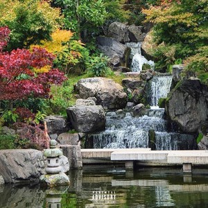 Never Enough(Freestyle) (Explicit)