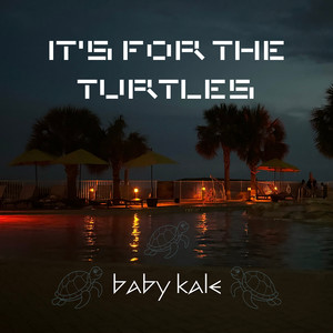 It’s for the Turtles