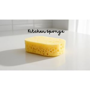 Kitchen sponge