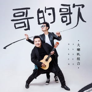 哥的歌 (DJ大金版)