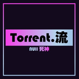 Torrent.流