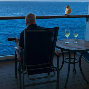 Bird on the balcony (feat. Dee Dee)