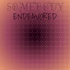 Somebody Endeavored