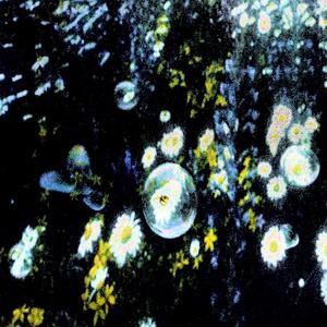 Stand It (feat. BRINGMEBENJAMIN & Riley Hahn) (Explicit)