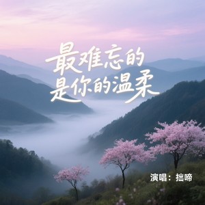 最难忘的是你的温柔 (DJ版)