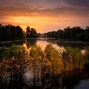 Calm Moments Gentle Tunes