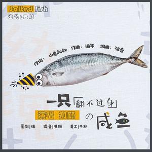 一只翻不过身的咸鱼 伴奏