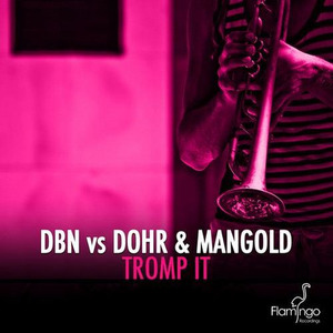Tromp It - remix (Original Mix)
