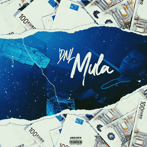 Mula