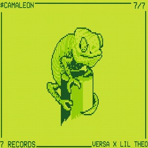 Camaleon