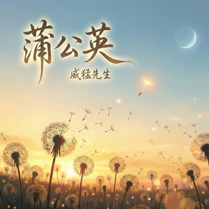 蒲公英封面