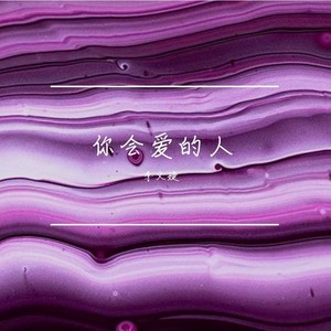 你会爱的人封面