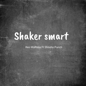 Shaker Smart
