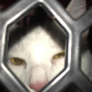 Back On My Bullshit Freestyle (Explicit)