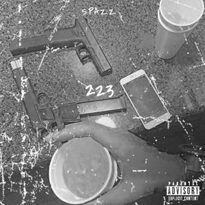 223 (Explicit)