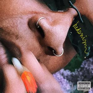 No Plans (feat. Husse & Glaves)