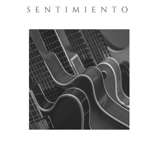 sentimiento