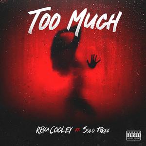 Too Much (feat. Solo Tyree) (Explicit)