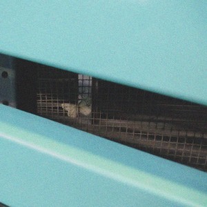 Luv(sic) Ylndm (Remix)