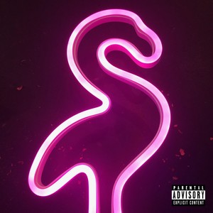 Flamingo (Explicit)