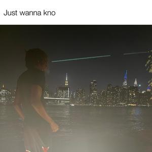 Just Wanna Kno (DxPop) [Explicit]