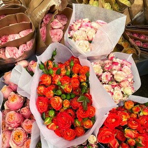 红尘千千错 (对唱版)