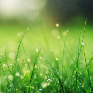 Calming Rains Meditation