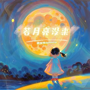 若月亮没来