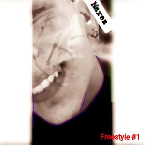 Freestyle #1  in risalto flow/testo
